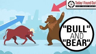 Why are Bull and Bear Markets Called That [upl. by Aielam74]