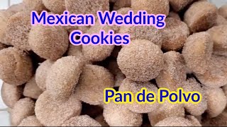 Mexican Wedding Cookies Recipe  Pan de Polvo  Hojarascas [upl. by Forest]