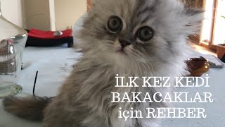 İlk kez kedi sahiplenecekler için detaylı kedi bakımı kılavuzu [upl. by Siuol859]