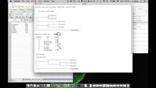 Construct a morphologicallybased phylogenetic tree [upl. by Ayekim388]