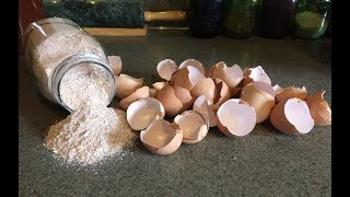 Health Benefits of Egg Shells [upl. by Ahsem]