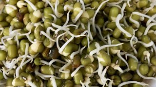 Sprouts making at home మొలకలను ఇంట్లోనే తయారు చేసుకోండి [upl. by Bonn]