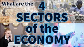 The 4 Sectors of the Economy  Think Econ [upl. by Nuhsyar]