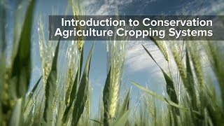 Introduction to Conservation Agriculture Cropping Systems [upl. by Sandi228]