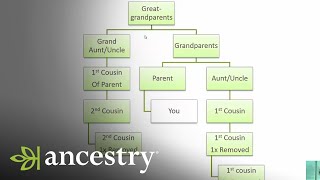 What is a First Cousin Once Removed  Ancestry [upl. by Notwal]