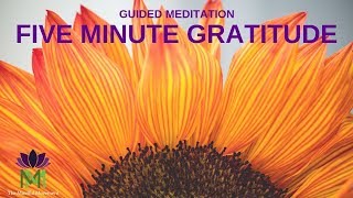 5 Minute Guided Meditation for Gratitude  Mindful Movement [upl. by Elletnuahs]