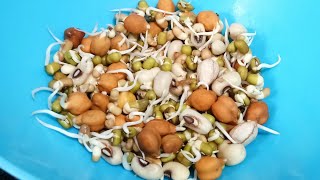 How to make sprouts at home  sprouts recipe  multi grain sprouts [upl. by Hakon199]