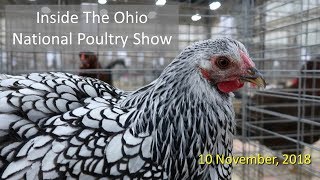 Inside The Ohio National Poultry Show 2018 [upl. by Ahsikal]