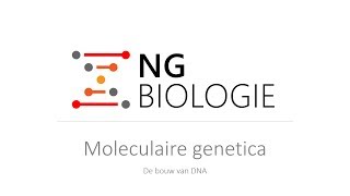 Moleculaire genetica  de bouw van DNA  HAVOVWO [upl. by Ferullo435]