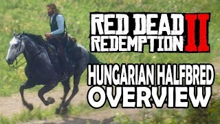 Hungarian Halfbred Overview  Red Dead Redemption 2 Horses [upl. by Gildus]