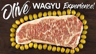 World’s RAREST STEAK Olive Wagyu vs Japanese A5 WAGYU Beef [upl. by Colier930]