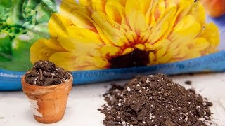 What is a Soilless Mix  Pros and Cons [upl. by Zaob]