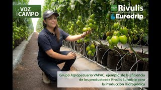 Testimonio Vapac  Sistema hidropónico para Tomate Saladette [upl. by Rohn]