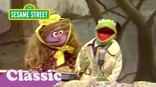 Sesame Street  Kermit and Telly report on cooperation [upl. by Yddeg]