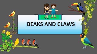 CBSE Class 4 Science Beaks and Claws of Birds [upl. by Dominica155]