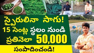 Spirulina Farming In Telugu  How to Start Spirulina Farming Business  స్పైరులినా ఫార్మింగ్ [upl. by Etteiram]