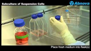 Subculture of Suspension Cells [upl. by Ramos]