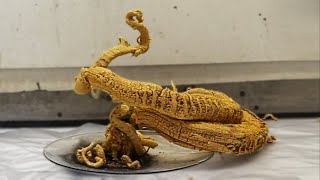 Making the Pharaohs Serpent [upl. by Aened748]