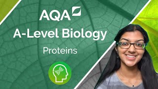 AQA A Level Biology Proteins [upl. by Radbourne]