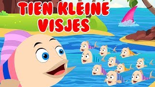 Tien kleine visjes  Nederlandse kinderliedjes [upl. by Ttirb]