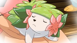 Shaymin The grATTITUDE Pokémon [upl. by Wolk]