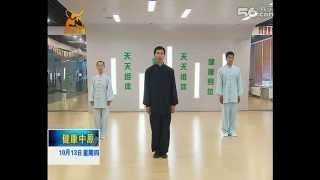 Chen Tai Chi Harmony 13 Form by Chen Bing [upl. by Otsuj]