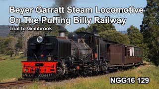 BeyerGarratt Steam Locomotive Trial at Puffing Billy Australia NGG16 129 [upl. by Gnof]