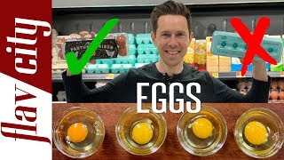 Everything You Need To Know About Eggs  Cage Free Free Range Pasture Raised and More [upl. by Drape]