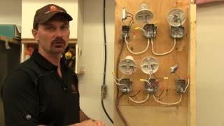 How To Wire A Single Pole Light Switch [upl. by Kerwinn]