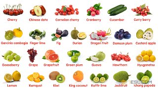 Fruit Names in English [upl. by Gerc]