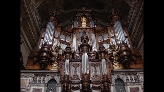 Reger  Ein feste Burg Berlin Cathedral Sauer Organ 1905 [upl. by Eelyac]