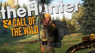 The Hunter Call Of The Wild  BOWS IN HIRSCHFELDEN [upl. by Dnalloh]