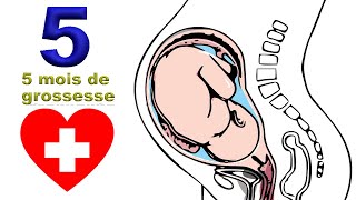 5 mois de grossesse  tout bouge  EnceinteSante [upl. by Teilo]