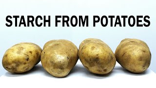 Extracting the starch from potatoes [upl. by Acinehs]