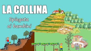 La COLLINA formazione terrazzamenti e attività svolte dalluomo 👨‍🌾 Geografia Scuola Primaria [upl. by Antebi]