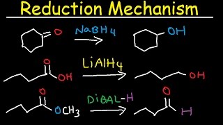 NaBH4 LiAlH4 DIBAL Reduction Mechanism Carboxylic Acid Acid Chloride Ester amp Ketones [upl. by Lafleur]