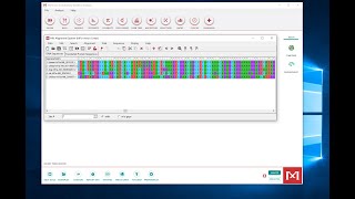 Making a Multiple Sequence Alignment in MEGA [upl. by Kyred]