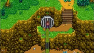 How To Unlock The Sewers  Stardew Valley [upl. by Nosretep730]