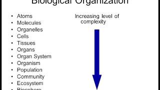 Biology 1010 Lecture 1 Intro to Biology [upl. by Hamrnand]