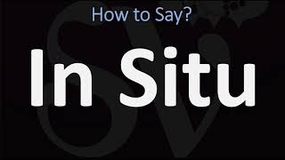 How to Pronounce In Situ CORRECTLY [upl. by Ellison]