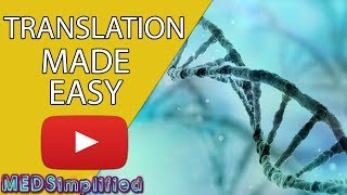 DNA Translation Made Easy [upl. by Nnalorac]