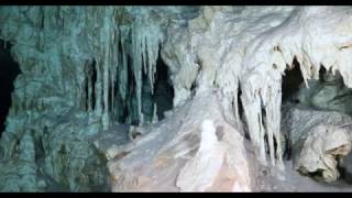 Scuba Diving the Mystical Cenotes in Mexico [upl. by Notnilc]