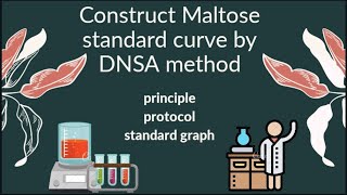 Practical  maltose standard curve by DNSA method [upl. by Gluck]