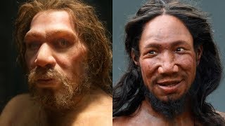 The Differences Between Neanderthals and Humans [upl. by Kcirdde]