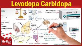 Pharmacology CNS 3 Parkinsons Disease Treatment Part 1 Levodopa Carbidopa and Benserazide [upl. by Adriena935]