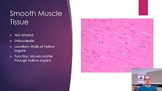 Histology  Bone and Muscle [upl. by Swagerty]