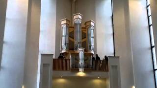 Hauptwerk orgel boaz kerk Sliedrecht 1 [upl. by Anuahc311]