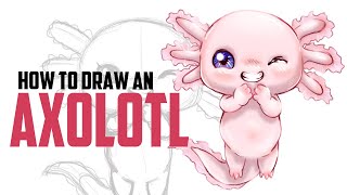 How to Draw an AXOLOTL [upl. by Acysej]