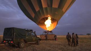 Serengeti Balloon Safaris Experience [upl. by Yevi967]