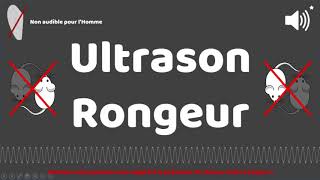 Puissant ultrason contre pour rongeur rats souris 1 HEURE [upl. by Grantland]